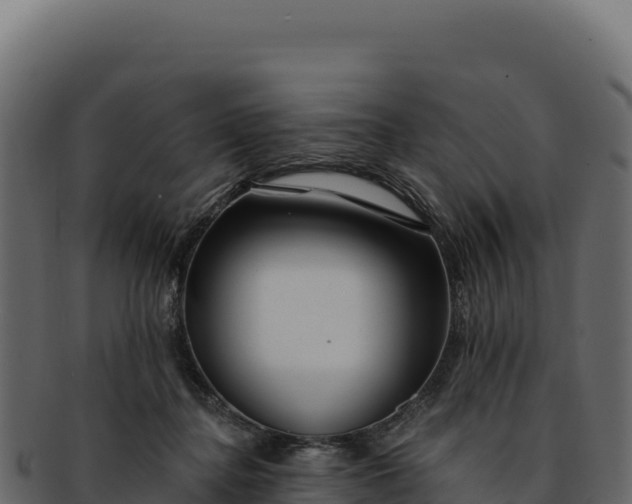 X0000092300364200710041451