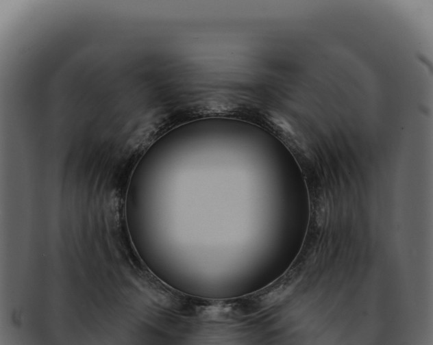 X0000092300366200710041452