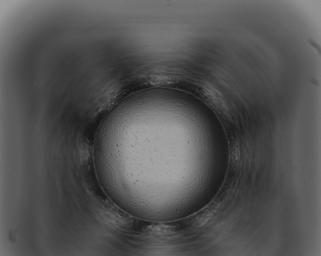 X0000092300367200710041452