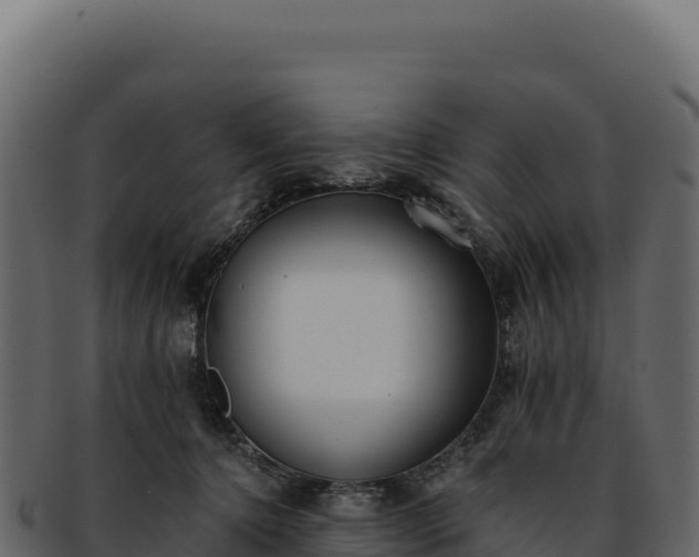 X0000092300368200710041452