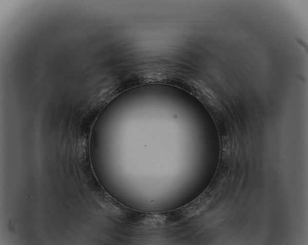 X0000092300369200710041452