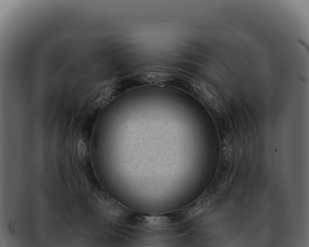 X0000092300371200710041452