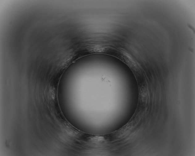 X0000092300374200710041452