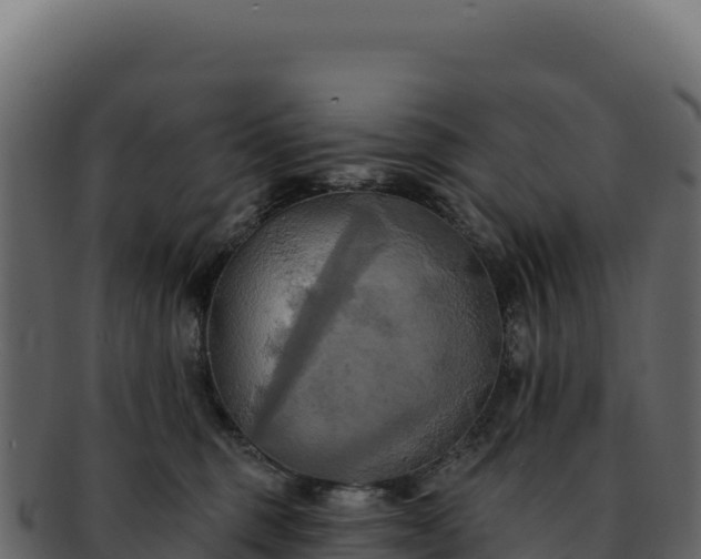 X0000092300375200710041452