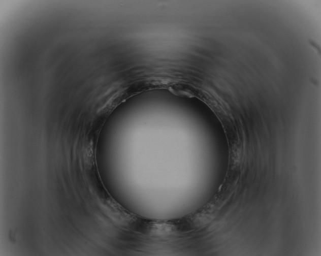 X0000092300376200710041452