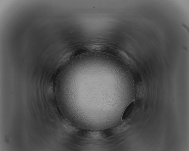 X0000092300377200710041452