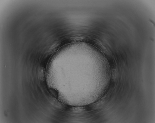 X0000092300378200710041452