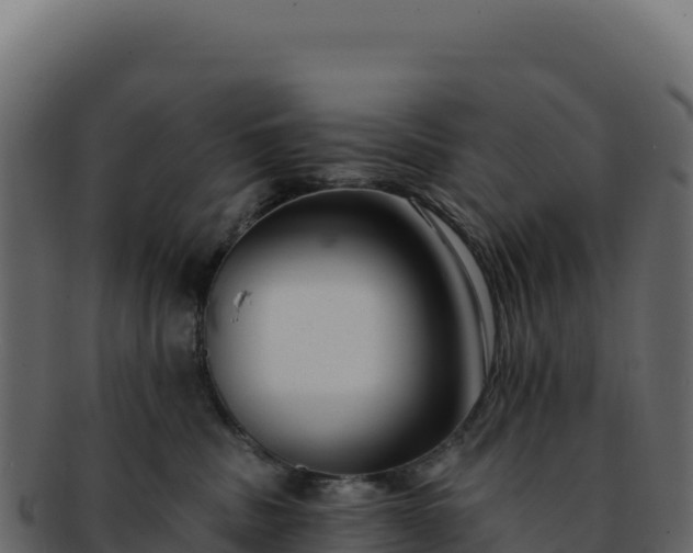 X0000092300379200710041452