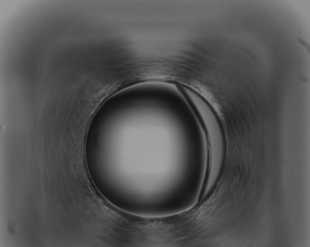 X0000092300385200710041451