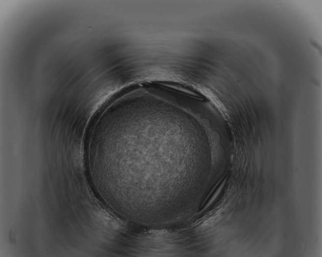 X0000092300391200710041451