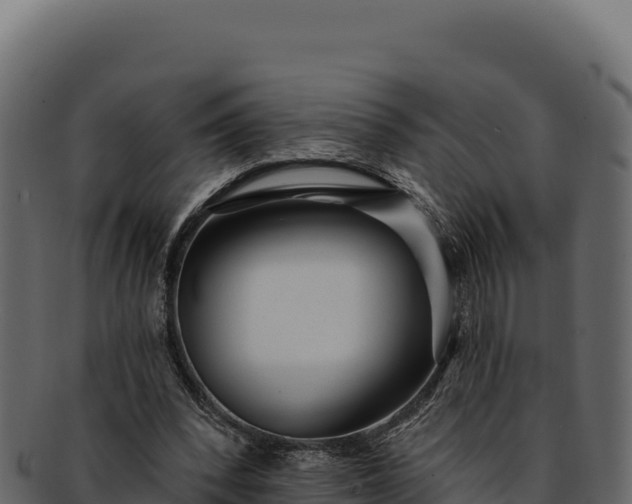 X0000092300392200710041451