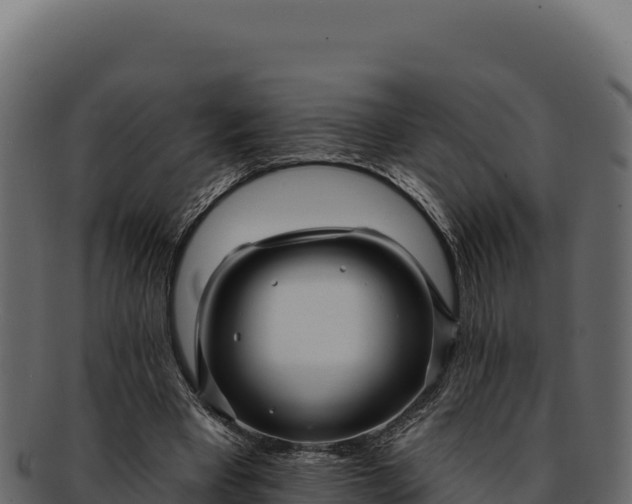 X0000092300393200710041451