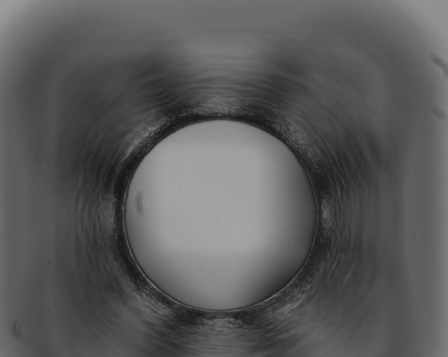 X0000092300396200710041451