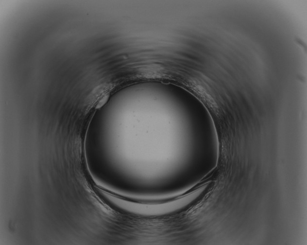 X0000092300397200710041451