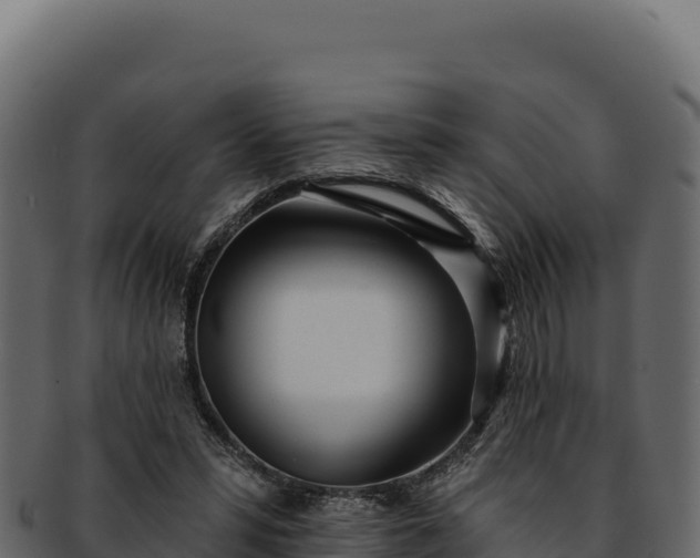 X0000092300399200710041451