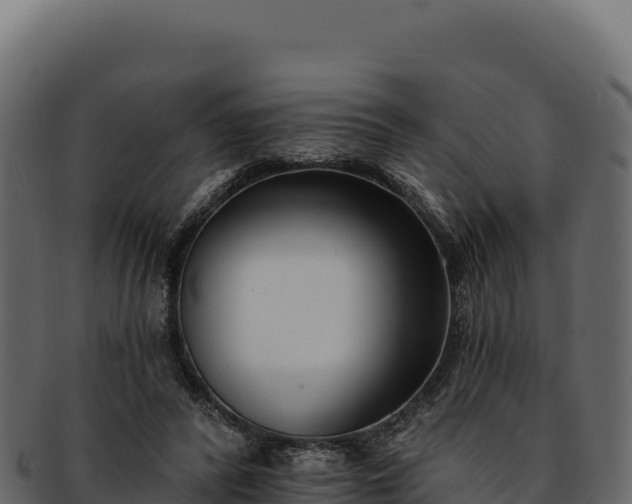 X0000092300400200710041451