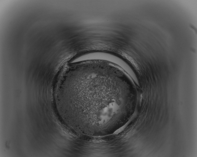 X0000092300403200710041451