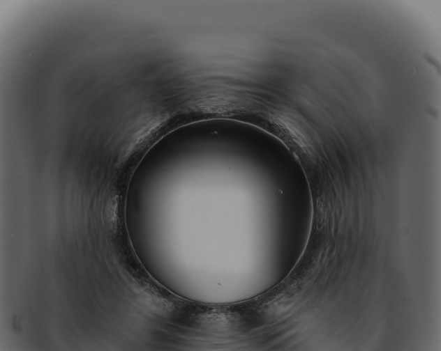 X0000092300404200710041451