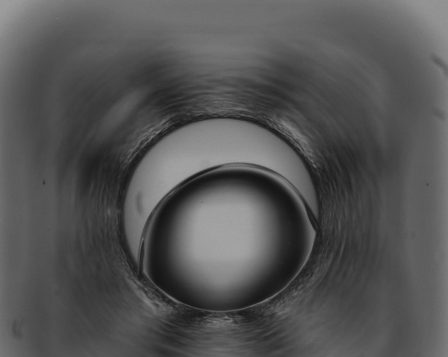 X0000092300405200710041451