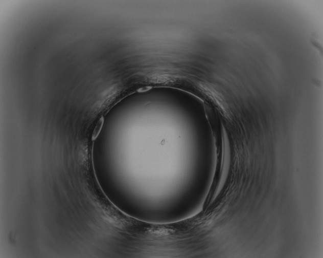 X0000092300407200710041451