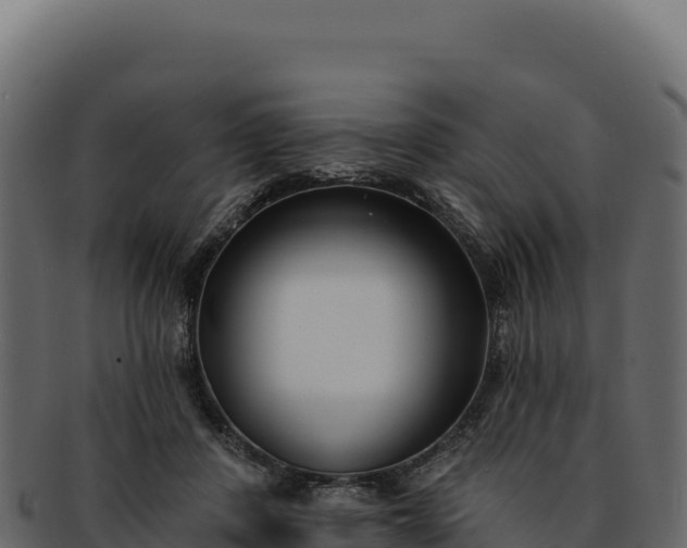 X0000092300408200710041451