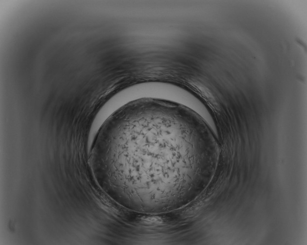 X0000092300409200710041451