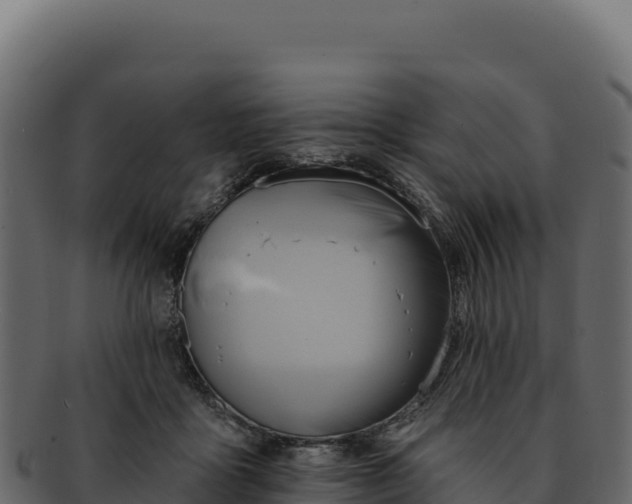 X0000092300411200710041451