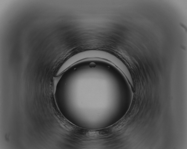 X0000092300413200710041451