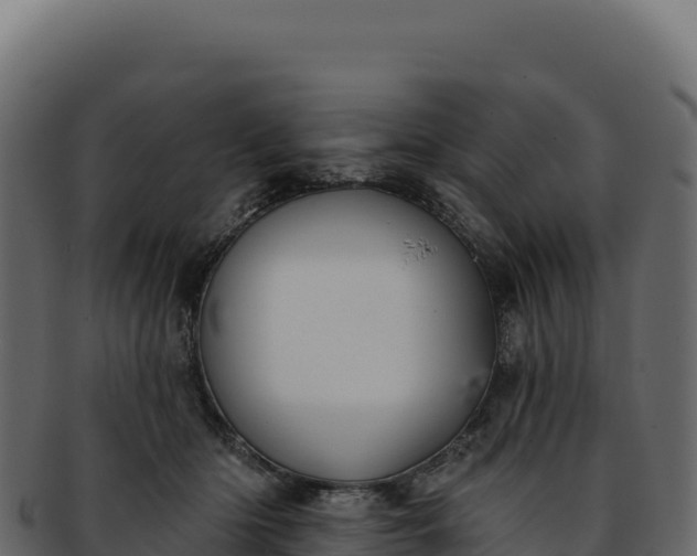 X0000092300414200710041451