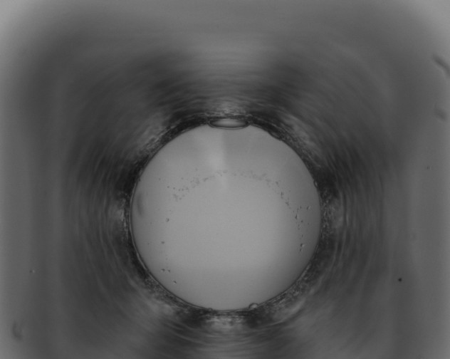 X0000092300415200710041451