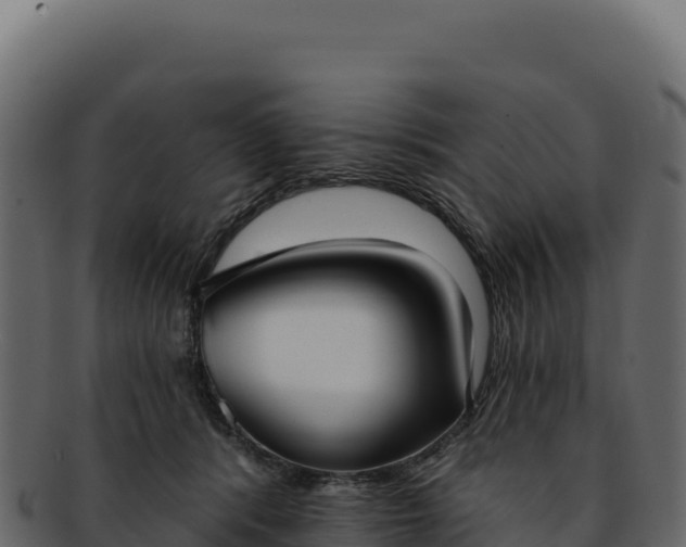 X0000092300416200710041451