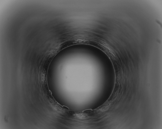 X0000092300417200710041451