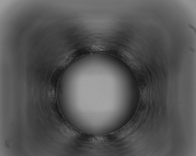 X0000092300418200710041451