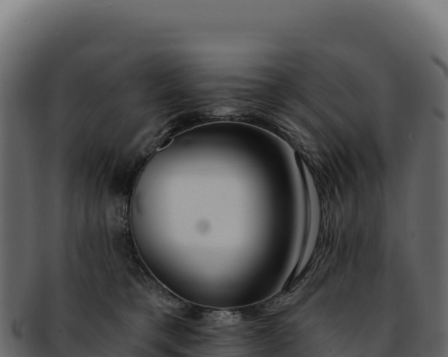 X0000092300421200710041451