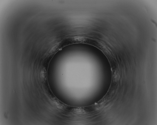 X0000092300424200710041451