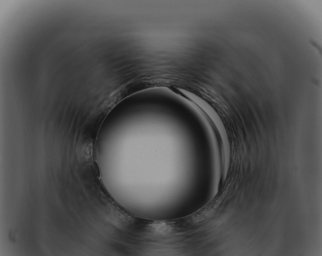 X0000092300425200710041451