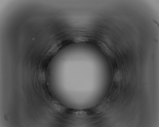 X0000092300426200710041451