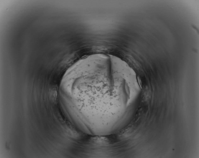 X0000092300427200710041451