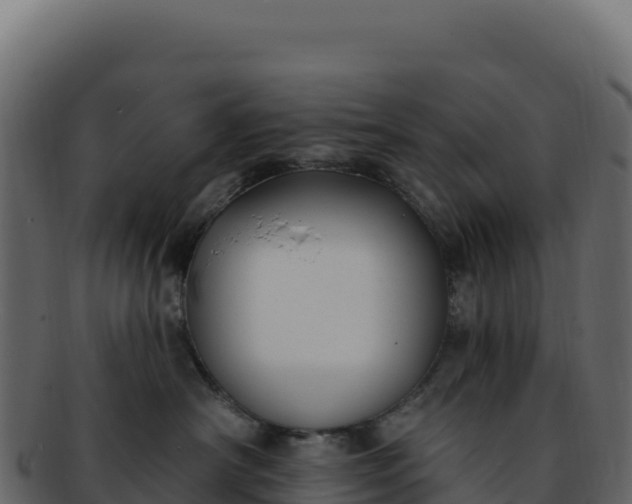 X0000092300430200710041451