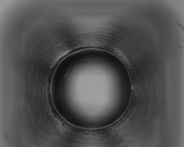 X0000092300434200710041450