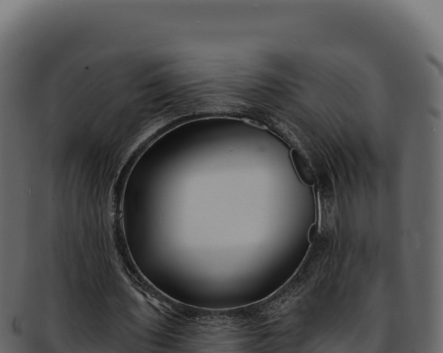 X0000092300435200710041450