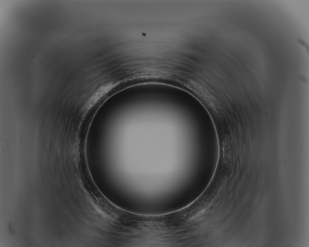 X0000092300436200710041450