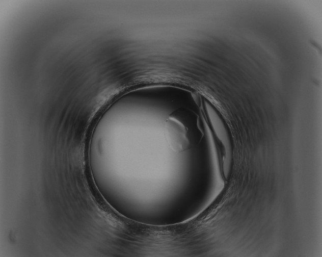 X0000092300438200710041450