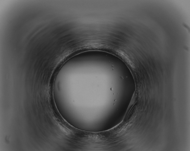 X0000092300439200710041450