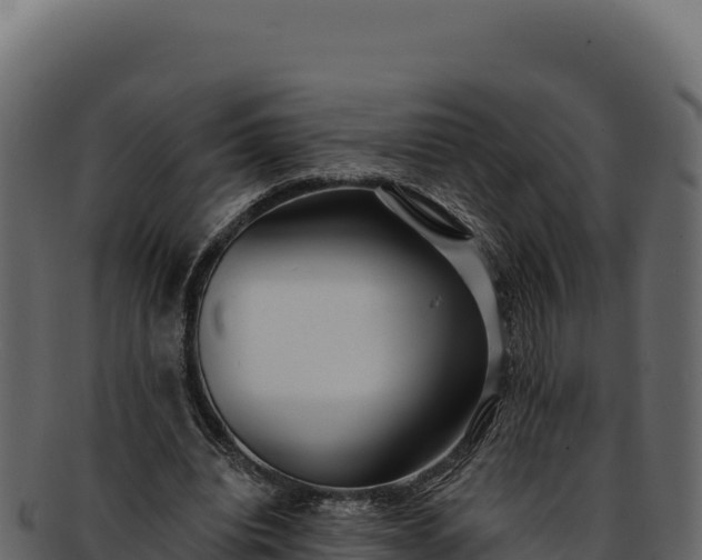 X0000092300440200710041450