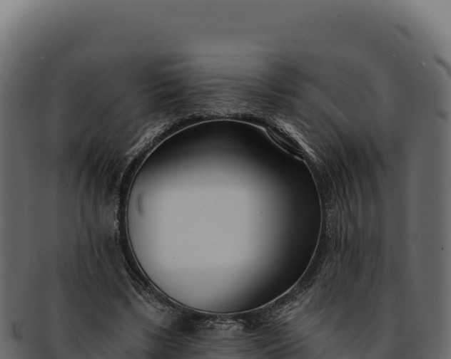 X0000092300443200710041450