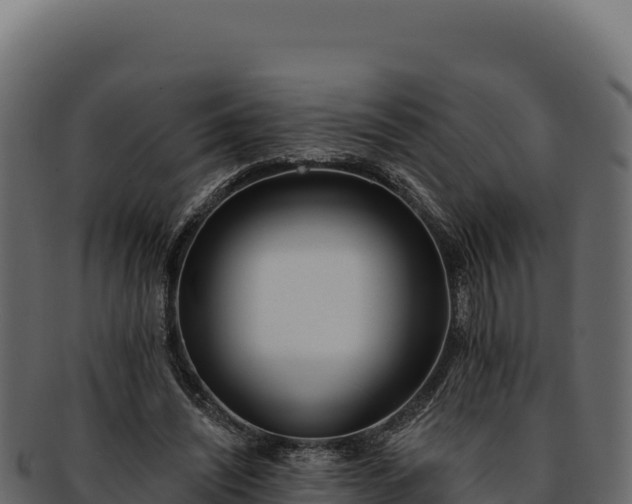 X0000092300444200710041450