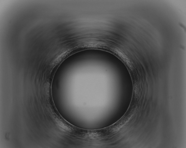 X0000092300445200710041450