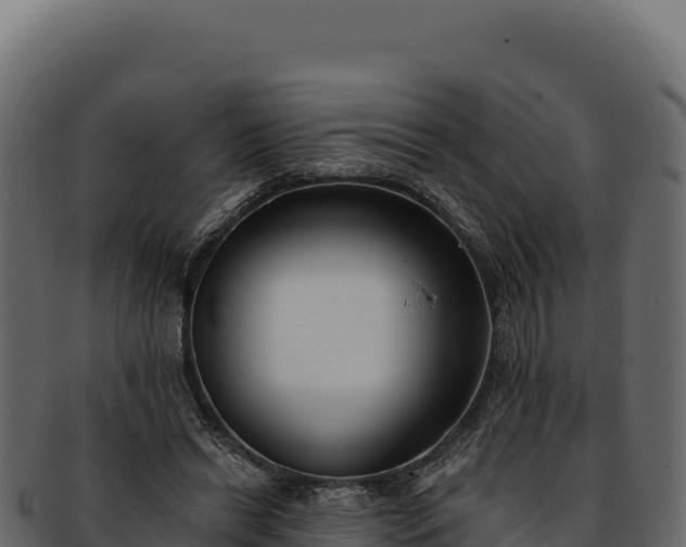 X0000092300446200710041450