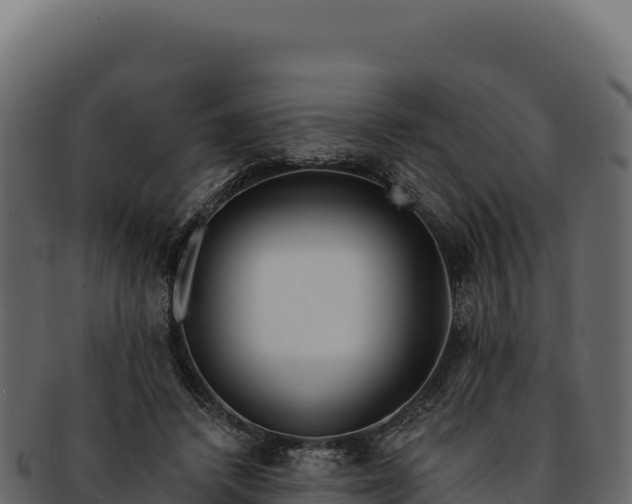 X0000092300448200710041450